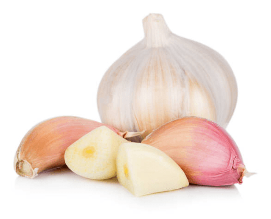 Garlic - Castle Valley Farms