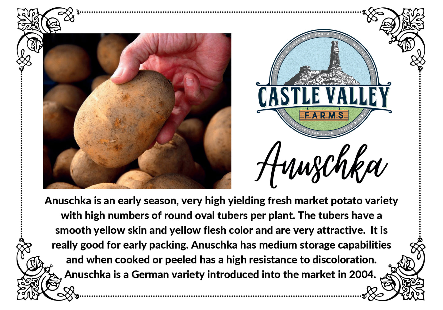 Anuschka Seed Potatoes - Naturally grown, Generation 3