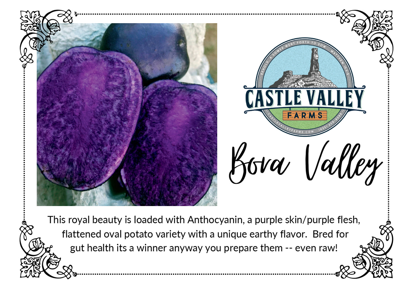 Bora Valley Seed Potatoes - Naturally grown, Generation 3