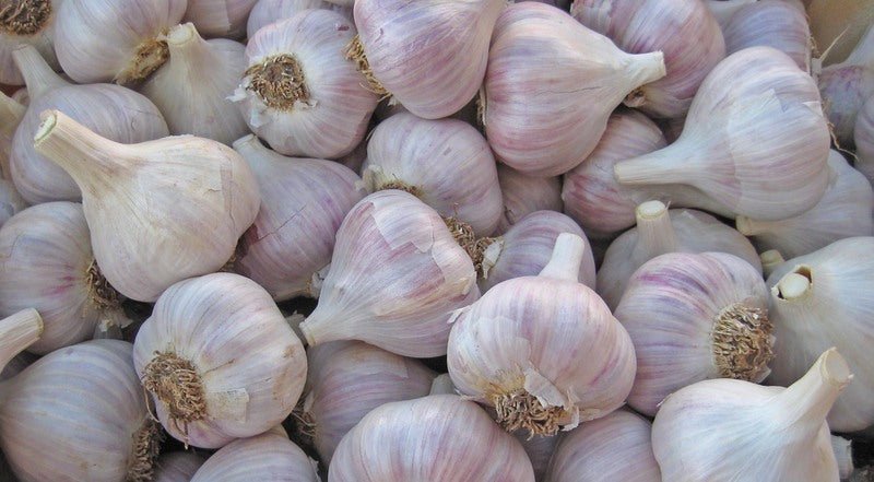 Garlic Mix - Castle Valley Farms