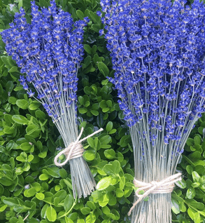 Lavender Bunch (fresh) - Castle Valley Farms