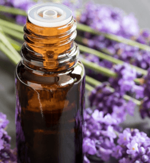 Lavender Oil - Castle Valley Farms