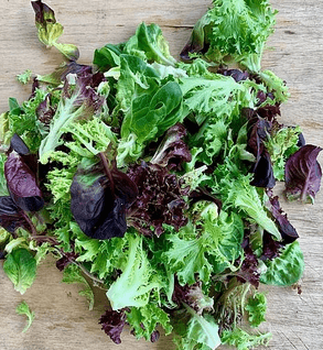 Salad Greens - Castle Valley Farms
