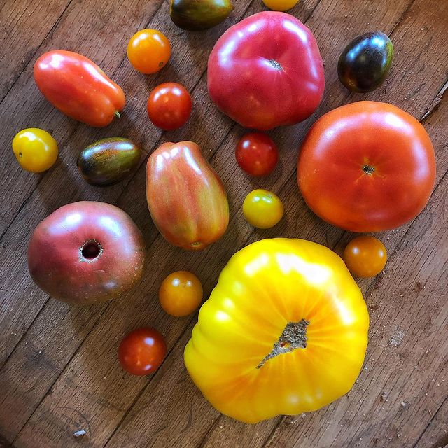 Vegetables - Castle Valley Farms