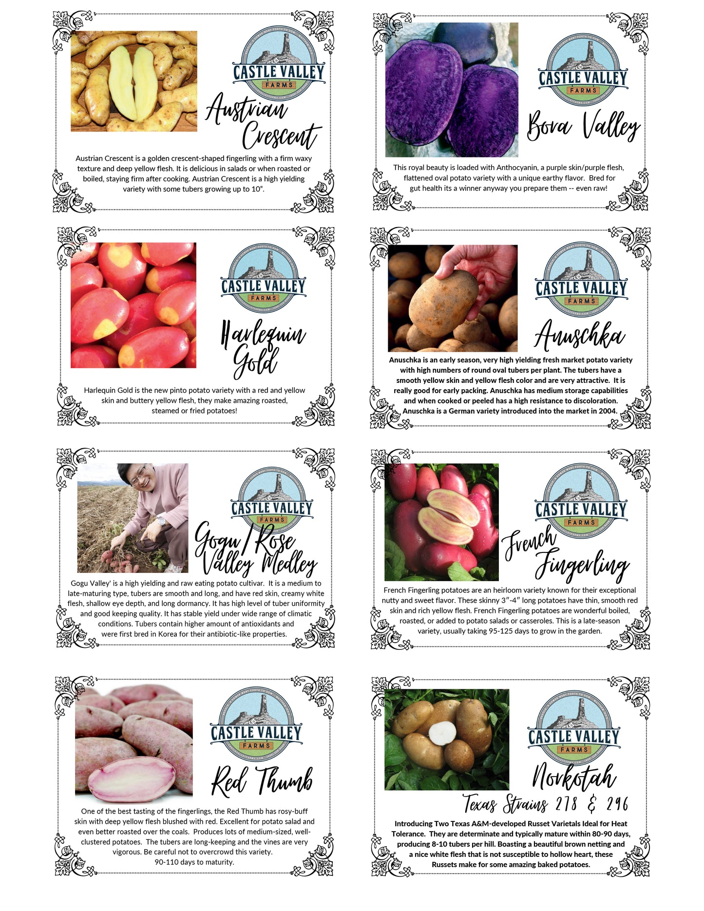 Naturally-Grown Generation 2 Seed Potatoes - 8 Varieties Available