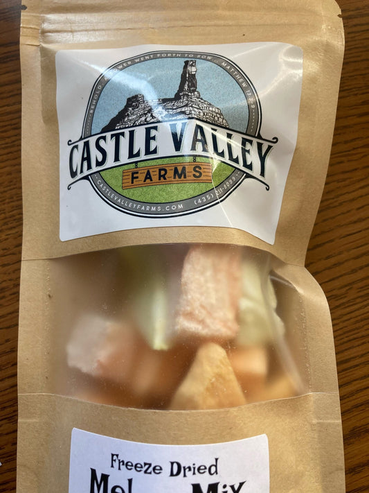 Freeze Dried Melon Mix - .7 oz / 20 g bag - Castle Valley Farms