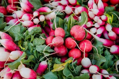 Radishes - Castle Valley Farms